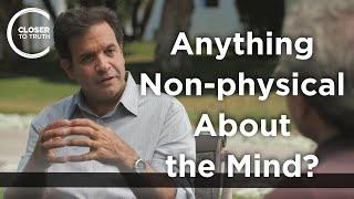 Rudolph Tanzi - Anything Non-physical About the Mind?