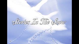 Stories In The Snow (a cappella)