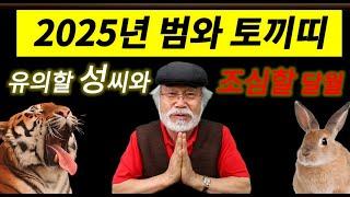 호랑이띠와 토끼띠 2025[을사년] 기본운세특집 3부 #을사년 #2025년운세 #띠범 #호랑이띠 #토끼띠 #신년운세 #무료운세