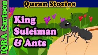 Power King Suleiman & the Ants | Stories from the Quran - Qasas | Islamic Stories | Islamic Cartoon
