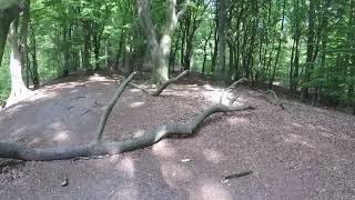 Streekpad 16 Veluwe zwerfpad deel 1 Putten-Harskamp