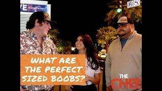 PERFECT SIZED BOOBS? What Do You Think Is The Perfect Boob Size?