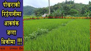 Land for sale at Rithepani, Pokhara || 9847043714 || eProperty Nepal