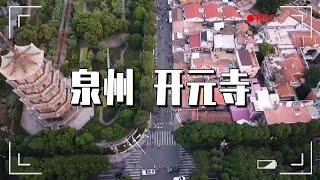 泉州开元寺，桑树上开出白莲花，这是一个神奇的故事！【大海去旅行】