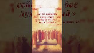 #троица #пятидесятники #праздник #духсвятой #библияговорит #христианскиецитаты #христиане