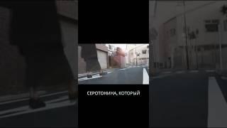 Японский минималист про пользу утренних прогулок #зож #прогулка