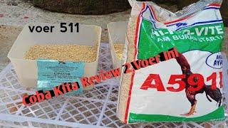 Voer 591 Atau 511 || Review pakan ayam