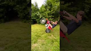 2023 Honda CRF125F Wheelies  #crf #pitbike #dirtbikebuild #wheelie