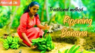 Traditional way to ripening of Bananas at homeNature With Dila 