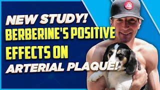 New Study: Berberine's Positive Effects on Arterial Plaque!