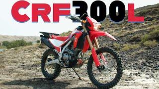 CRF300L: Can It Do Everything?