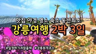 [강릉여행] 동선낭비 없는 2박3일 코스 /강릉에 반드시 가봐야할 여행지 / 아르떼뮤지엄 툇마루 동화가든 하슬라아트월드 나우오네버 엄지네포장마차 BTS버스정류장 중앙시장