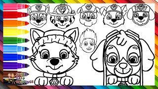 Drawing and Coloring All The Characters from Paw Patrol ️️ Drawings for Kids