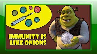 Immunity is Like Onions - Immune and Reproductive System