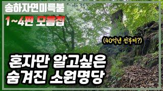 E141. 삶이 힘들 때 꼭 찾아가봐야 할 소원명당 / 송하자연미륵불 1~4편 모음