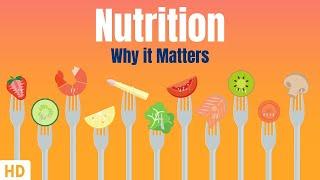 Nutrition And Why It Matters