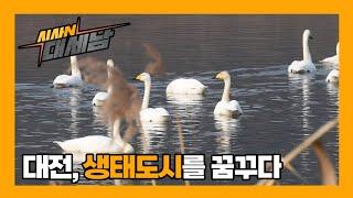 대전, 생태도시를 꿈꾸다 [이럴수 이슈] / KBS대전 20240227 방송