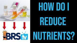 How to Lower Nitrate and Phosphate in a Saltwater Aquarium? | ep.5 BRStv Guide to Pollutive Foods