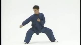 Taiji quan - Chen 56