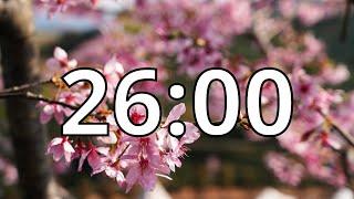 26 Minutes Timer with Music | Cherry Blossom Timer