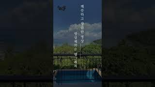 영상제작은 웰그래피에서! #영상 #기업홍보영상