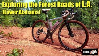 Exploring the Forest Roads of L.A. (Lower Alabama) & Beyond, on a Hot AF Day!