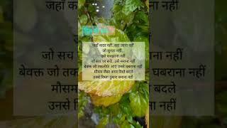 Sad ShayariSad love Shayari ImageSad Shayari In hindi for love