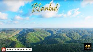 Turkey istanbul 4K . Immerse Yourself in the Enchanting Beauty of Nature with 4K Forest Videos