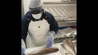 le métier  poissonnier comment faire un Merlan en filet