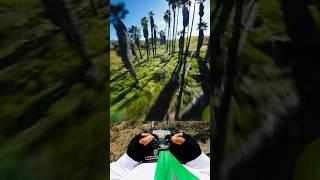 Back on the flow  #fpv #fpvdrone #drones #palmtrees