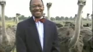 Alvin Hall gets pecked by ostriches