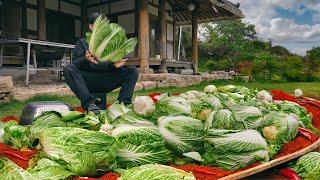 Making Kimchi in a place that is not common even in Korea