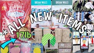 Dollar Tree Shop W/ Me| All NEW| Dollar Tree Deals For June 2024
