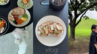 vlog. 일주일 아침 채소 먹기.・° 1박 2일 경주 여행. 직장인 브이로그