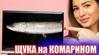 ЭТО ТРЕШ! Тролинг на оз. Комариное ● Русская Рыбалка 4 | РР4