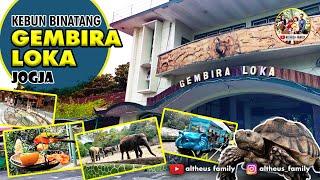 Kebun Binatang Gembira Loka Yogyakarta | Wisata Jogja | Gembira Loka Zoo