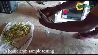 CORNEXT - Quality Testing of Maize Crop for Silage Preparation (In-House)