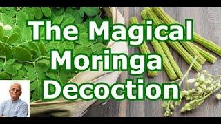 The Magical Drumstick Leaves Decoction And It's Health Benefits || Sahajan ||  Dr Khadar lifestyle