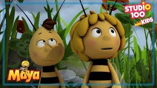 Sunshine - Maya the bee - Studio100 miniKIDS 