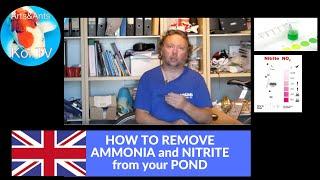 KOI TV | HOW TO REMOVE AMMONIA and NITRITE from your POND