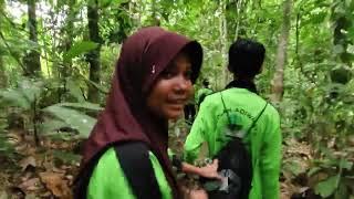 Hutan Kalimantan KM 15