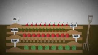 What is food insecurity? An explanation