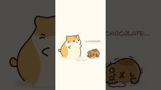 Little Mao wants chocolate...