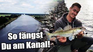 Zanderangeln am Kanal | 5 Tipps für mehr Zander am Kanal