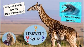 Tierwelt Quiz | Stimmt´s oder nicht? | Spannende Fakten über Tiere | Kinderfragen leicht erklärt