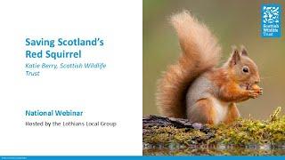 Saving Scotland's Red Squirrel