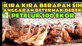 Kira kira berapa sih anggaran beternak bebek petelur 109 ekor