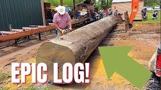 EPIC GIANT Sinker Cypress Log Pulled From River Bottom On The Sawmill! 38Foot Long!