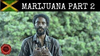 MARIJUANA AND SMOKING | PART 2