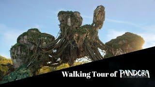 Walking Tour of Pandora: The World of AVATAR, Disney's Animal Kingdom Theme Park, Walt Disney World